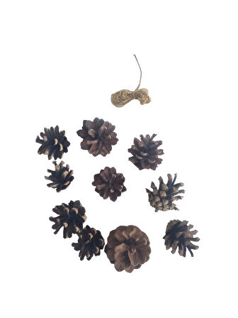 (Boyasız)10'lu Ham Doğal Kozalak Seti – Simli Gold İpli Yılbaşı Çam Ağacı Etkinlik Süsü