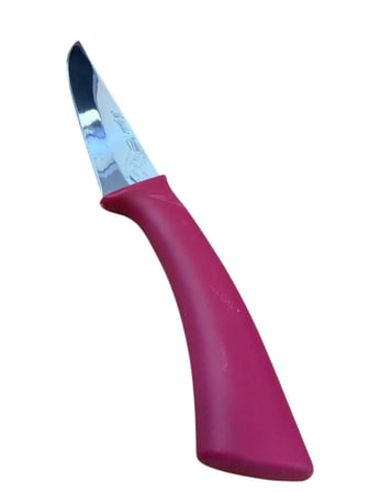 Aryıldız Handy Kasap Bıçağı Bordo No:1 14cm 297582