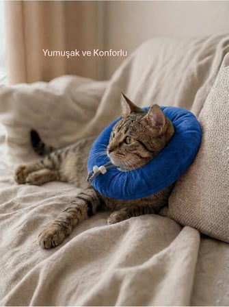 Elizabeth Yakalık Yumuşak Ayarlanabilir Kedi Köpek Koruyucu Boyunluk, Mavi, M Beden