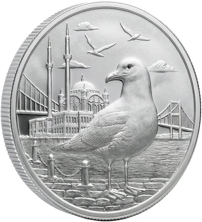İstanbul Martısı Gümüş Koleksiyon Ürünü