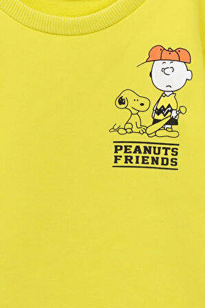 Peanuts Friends Bebek Eşofman Takımı (Aslan Desenli) 1-3 Yaş