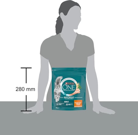 Purina ONE Tavuklu Yetişkin Kuru Kedi Maması 750g