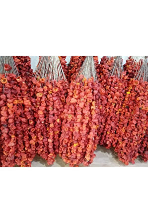 KURUTMALIK YENİ MAHSUL ACI BİBER DOLMALIK 3 DİZİ 150 ADET