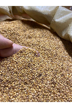 SUSAM (KÜNCÜ) 250 GR