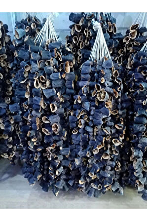 GAZİANTEP YENİ MAUHSUL PATLICAN DOLMALIK 1 DİZİ (25)