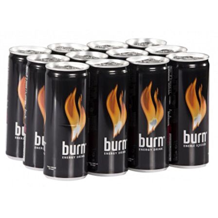 Burn Enerji İceceği 250 Ml 12 Adet