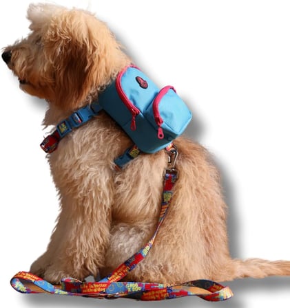 Gimme Five Mavi Çantalı Göğüs Tasması, Köpek Sırt Çantası – Göğüs Tasması İşlevli, Geri Dönüştürülmüş Malzeme, Ayarlanabilir, Çok Cepli, 5 Renk Seçenekli, Small Recycled