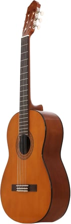 C40 Klasik Gitar