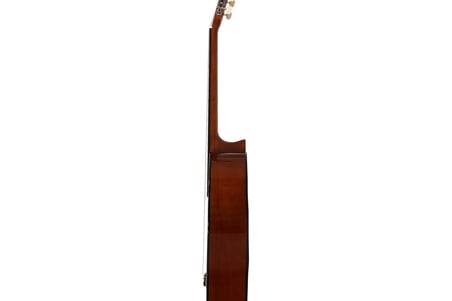 C40 Klasik Gitar