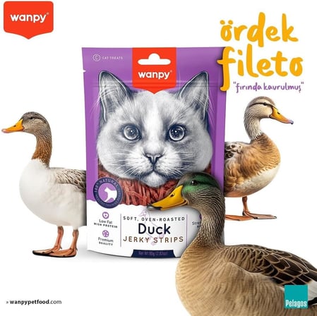 Wanpy Gerçek Ördek Fileto 80 gr Yumuşak Kedi Ödülü