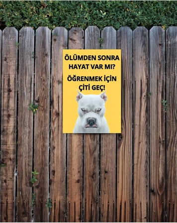 glassify 3’lü Dekoratif Köpek Var! Uyarı Levhası Seti 25 x 35