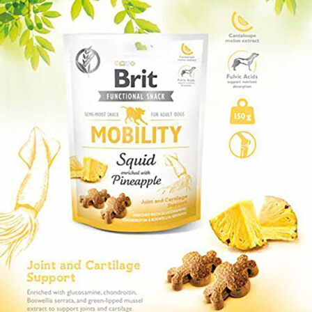 Brit Mobility Ananas ve Kalamarlı Köpek Ödül Maması 150 Gr - Lisinya