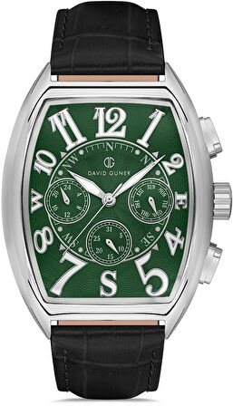 DAVİD GÜNER ERKEK KOL SAATİ S.DG-8707GB-J10