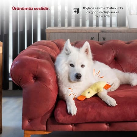 Ördek Köpek Oyuncağı Çekiştirmeli Vikvikli ve Hışırdayan Peluş Oyuncak