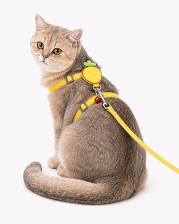 Çilek Figürlü Zilli Kedi Göğüs Tasması ve Gezdirme Kayışı Seti, Ayarlanabilir Göğüs Tasması ve Gezdirme İpi, Günlük Gezi ve Yürüyüş İçin (Sarı)