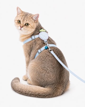 Çilek Figürlü Zilli Kedi Göğüs Tasması ve Gezdirme Kayışı Seti, Ayarlanabilir Göğüs Tasması ve Gezdirme İpi, Günlük Gezi ve Yürüyüş İçin (Sarı)