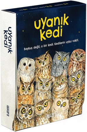 Uyanık Kedi – Eşleştirme Kart Oyunu | Baykuşları Eşleştir, Kediden Kurtul, Oyunu Kazan | 2-6 Oyuncu 6+ Yaş | Dikkat Odaklı Eğlence
