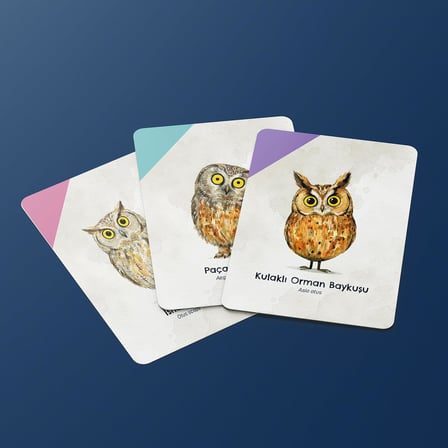 Uyanık Kedi – Eşleştirme Kart Oyunu | Baykuşları Eşleştir, Kediden Kurtul, Oyunu Kazan | 2-6 Oyuncu 6+ Yaş | Dikkat Odaklı Eğlence