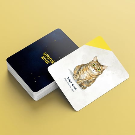 Uyanık Kedi – Eşleştirme Kart Oyunu | Baykuşları Eşleştir, Kediden Kurtul, Oyunu Kazan | 2-6 Oyuncu 6+ Yaş | Dikkat Odaklı Eğlence