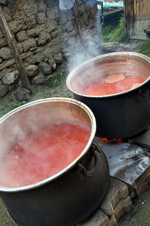 Yeşil Çam Kozalağı Şurubu 400 ml – Odun Ateşinde 12 Saat Kazanda Pişirilmiş