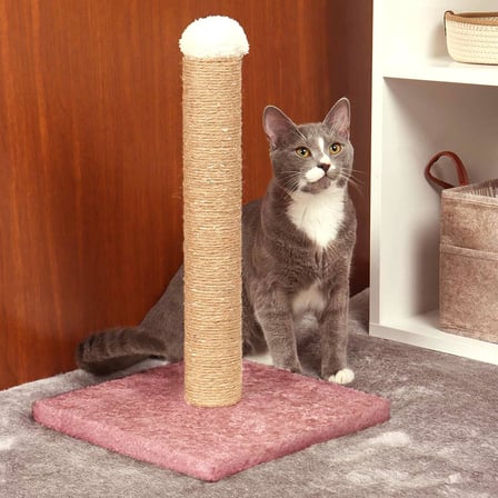 Kedi Tırmalama Tahtası Karışık Renk