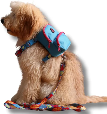 Gimme Five Mavi Çantalı Göğüs Tasması, Köpek Sırt Çantası – Göğüs Tasması İşlevli, Geri Dönüştürülmüş Malzeme, Ayarlanabilir, Çok Cepli, 5 Renk Seçenekli, Small Recycled
