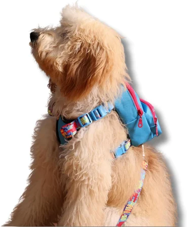Gimme Five Mavi Çantalı Göğüs Tasması, Köpek Sırt Çantası – Göğüs Tasması İşlevli, Geri Dönüştürülmüş Malzeme, Ayarlanabilir, Çok Cepli, 5 Renk Seçenekli, Small Recycled