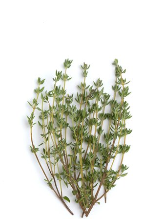 Nane (Kurutulmuş) 100Gr-Taze,Yeni Sezon