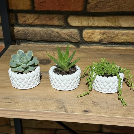 3’lü Mini Saksı Seti 5 cm – El Yapımı Dekoratif Beton Saksı | Küçük Sukulent Saksısı, Masa &amp; Raf Dekoru, Modern Minimal Tasarım (Bitki Dahil Değildir)