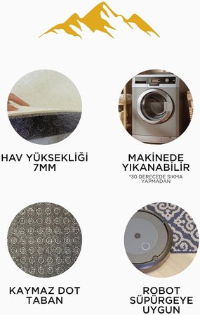 Modern Dolar Desen Dijital Baskı Kaymaz Taban Halı H0166