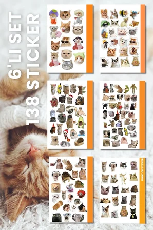 6'lı Kedi Sticker, Çıkartma