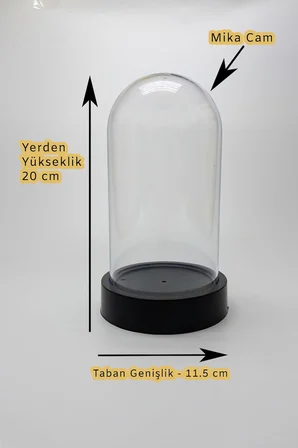 Doğum Günü, Kadınlar Günü Hediyesi, Fanus İçinde Şeffaf Sonsuzluk Gülü ve Gün Işığı Ledli Dekoratif Lamba