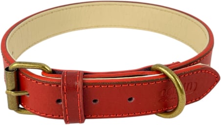 %100 Hakiki Deri - Antik Tokalı Köpek Tasması – Yumuşak İç Katman, Dayanıklı ve Şık Tasarım - Gerçek Deriden Tasma; Ekstra Küçük, Küçük, Orta, Büyük, Çok Büyük Köpekler İçin (Kırmızı, M)