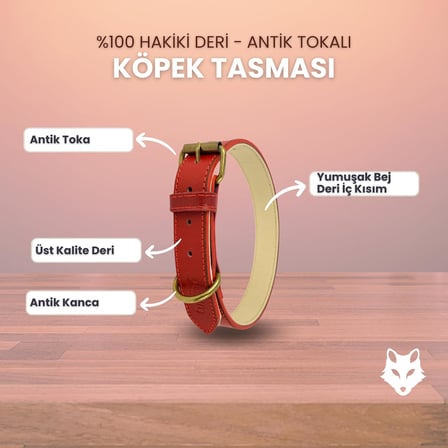 %100 Hakiki Deri - Antik Tokalı Köpek Tasması – Yumuşak İç Katman, Dayanıklı ve Şık Tasarım - Gerçek Deriden Tasma; Ekstra Küçük, Küçük, Orta, Büyük, Çok Büyük Köpekler İçin (Kırmızı, M)