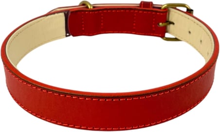 %100 Hakiki Deri - Antik Tokalı Köpek Tasması – Yumuşak İç Katman, Dayanıklı ve Şık Tasarım - Gerçek Deriden Tasma; Ekstra Küçük, Küçük, Orta, Büyük, Çok Büyük Köpekler İçin (Kırmızı, M)