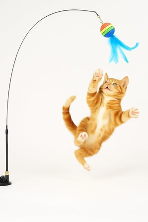 Vakumlu Tüylü Kedi Oltası Çıkarılabilir Çıngıraklı İnteraktif ve Eğlenceli Kedi Oyuncağı Eller Serbest Oyun Çubuğu Yavru ve Yetişkin Kediler İçin