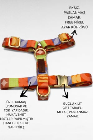 KÖPEK GÖVDE TASMASI- H TİPİ TASMA- KÜÇÜK IRK KÖPEK TASMASI, ORTA IRK KÖPEK TASMASI DESEN 4-S