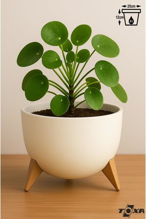 2 Litre 19cm Küre Saksı Ayaklı Delikli Süzgeçli Plastik Çiçek Saksısı Fildişi