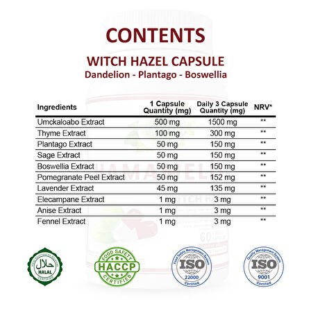 Hamamelis Kapsül (WİTCH HAZEL CAPSULE)