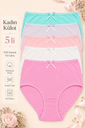 Kadın Külot 5 Li Paket Likralı Pamuklu Yüksek Bel Somon