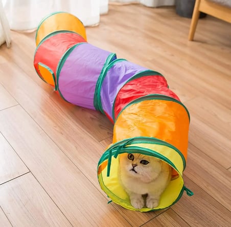Busstier Gökkuşağı Renkli Katlanır Kedi ve Köpek Oyun Tüneli, Uzun Eğlenceli Evcil Hayvan Oyuncak Tüneli (Kıvrımlı)