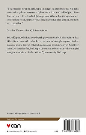 Kediler Güzel Uyanır