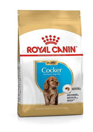 Royal Canin Cocker Yavru Köpek Maması 3kg