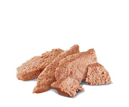 Royal Canin Pomeranian Yaş Köpek Maması 85g