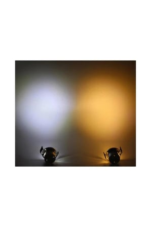 CT 5270 1,5W Led Spot Siyah Kasa 6400K Beyaz Işık