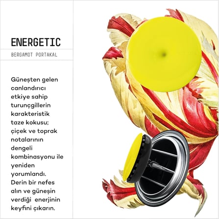 Spin Araba Klima Kokusu - Profesyonel Otomobil Kokusu | BPA &amp; Sıvı İçermez | 90 Gün Etkili - 6'lı Set (ENERGETIC)