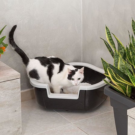 DAMA - Köşe Kedi Tuvaleti