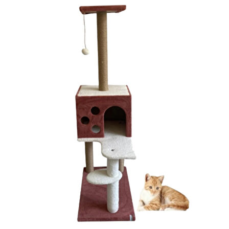 Reyo Pet Kedi Tırmalama ve Oyun Evi Gül Kurusu