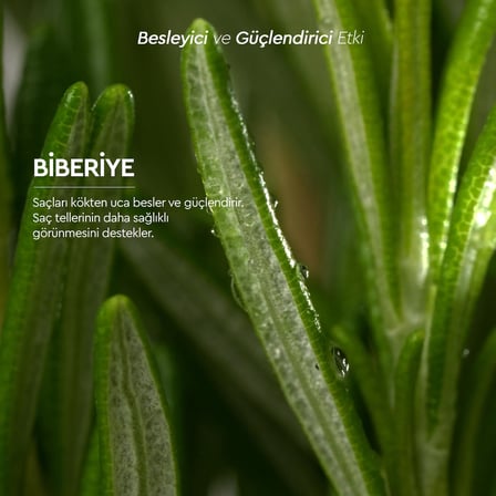 Botanics+ Saf Biberiye Suyu