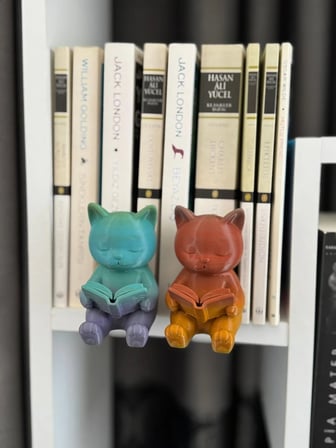 Todekora Okuyan Kedi Kitaplık Aksesuarı Destek Aparatlı 2'li Set-Dekoratif İkili Obje